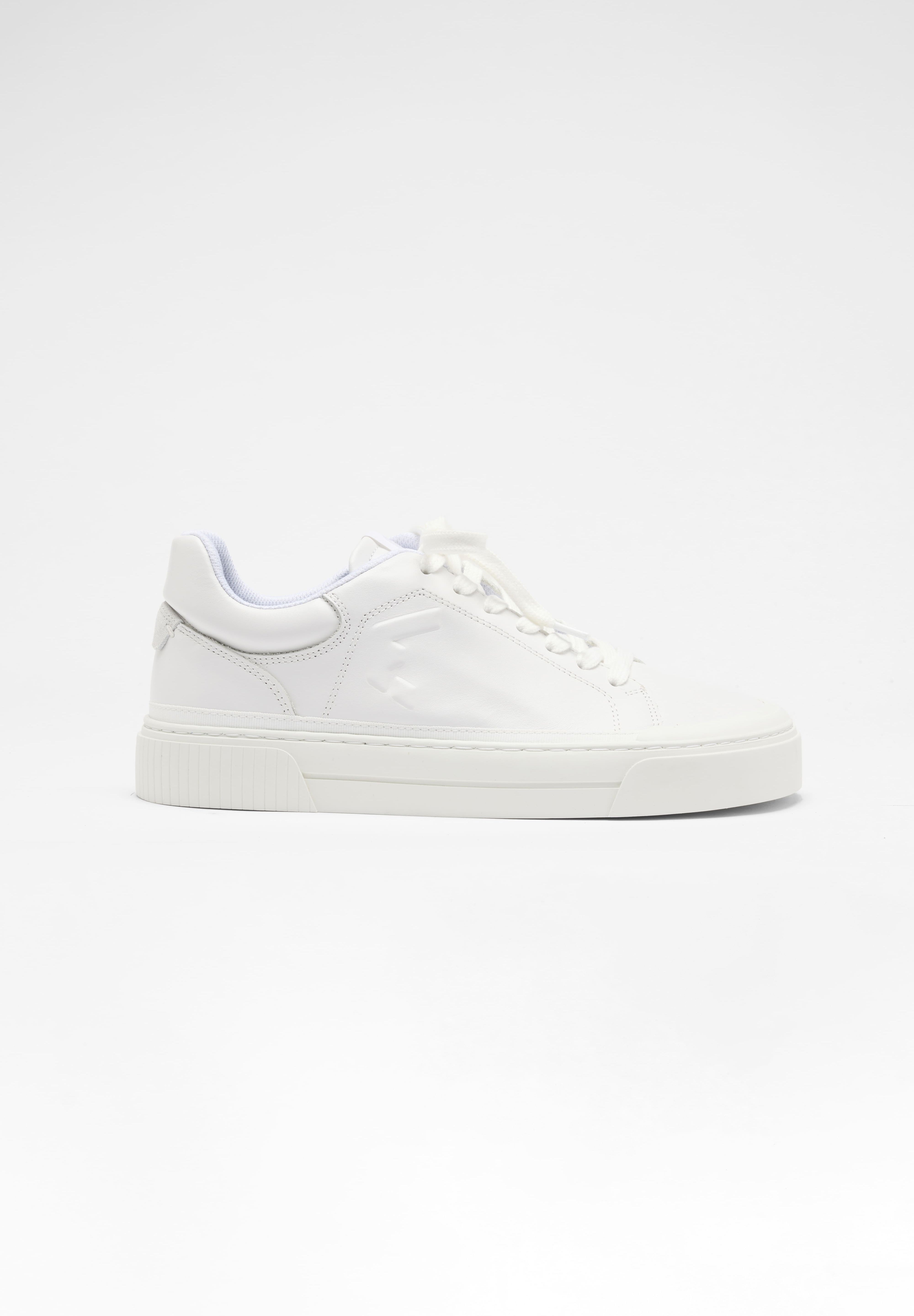 Arcus All White